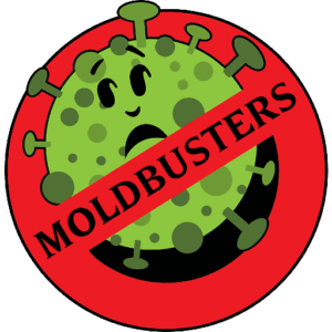 Mold Busters Dallas business image in Irving, Texas